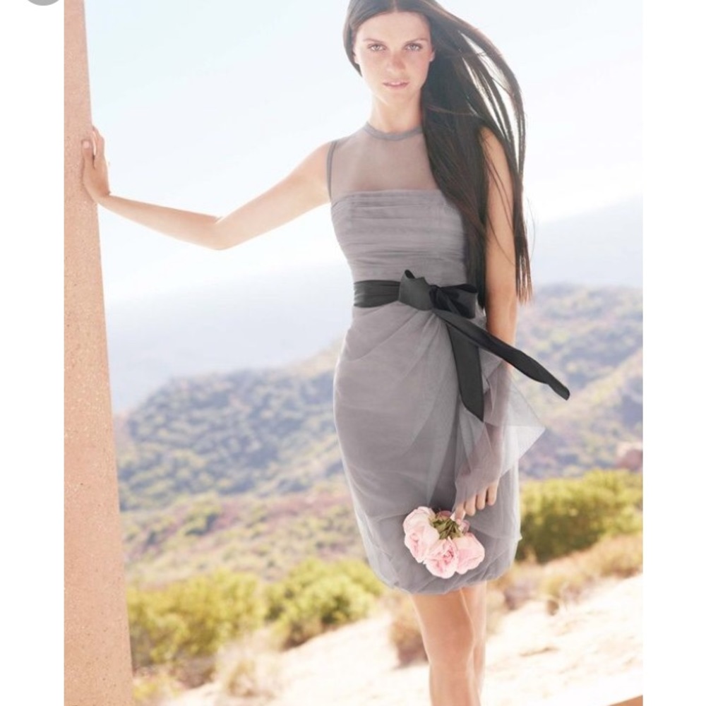 White by Vera Wang David’s Bridal 2012 Dress Gray